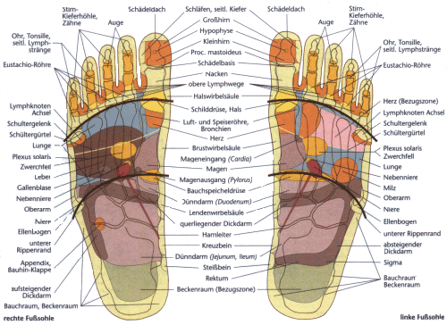 8) Die Fußreflexzonen des linken und des rechten Fußes.